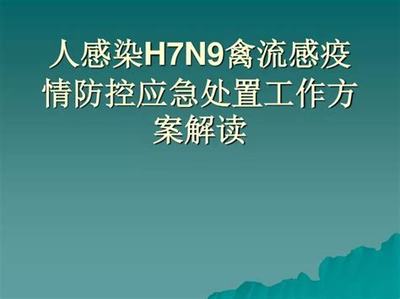 德阳青年海外新征程 网络游戏推广与技术服务机遇探索